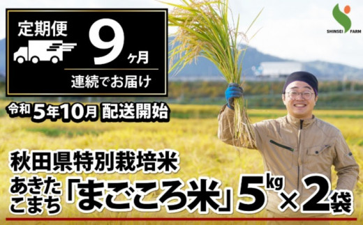 585P9001 【定期便9ヶ月】秋田県特別栽培米あきたこまち「まごころ米」10kg