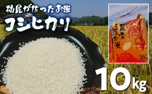 S114-015_柿屋が作ったお米 コシヒカリ 10kg