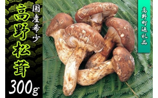 和歌山県高野町の香り高く希少な国産松茸！～秋の味覚の王様