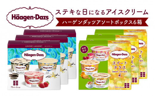 【着日指定できます!!】ハーゲンダッツ『バラエティアソートボックス6箱セット』 アイス スイーツ デザート_H0016-007-n