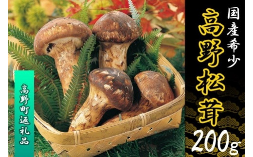 和歌山県高野町の香り高く希少な国産松茸！～秋の味覚の王様～松茸特集