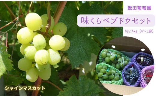 味くらべ ブドウセット 2.4 kg ぶどう 葡萄