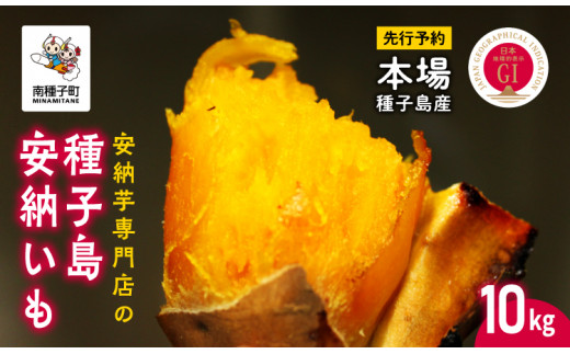 《 先行予約 》【2023年11月下旬頃～順次発送】天然スイーツ 種子島安納いも １０ｋｇ