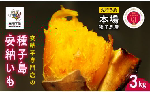 《 先行予約 》【2023年11月下旬頃～順次発送】天然スイーツ 種子島安納いも 3ｋｇ