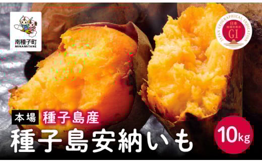 《 先行予約 》【2023年11月下旬頃～順次発送】種子島安納いも（本場種子島産）１０ｋｇ