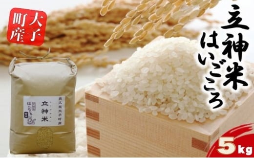 【特別栽培米】立神米はいごころ（玄米）5kg 茨城県 大子町 米 [№5799-0654]