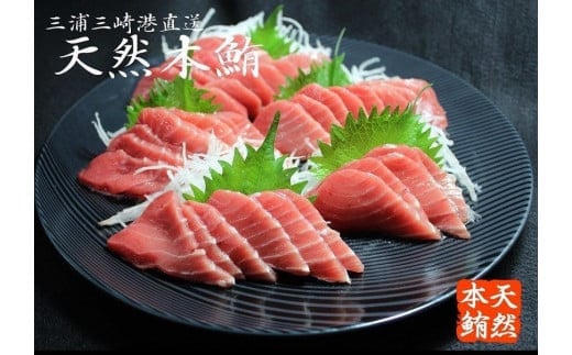 天然本鮪背トロ 切れてるお刺身簡単パック 100g入×3P 【数量限定】　M007-001
