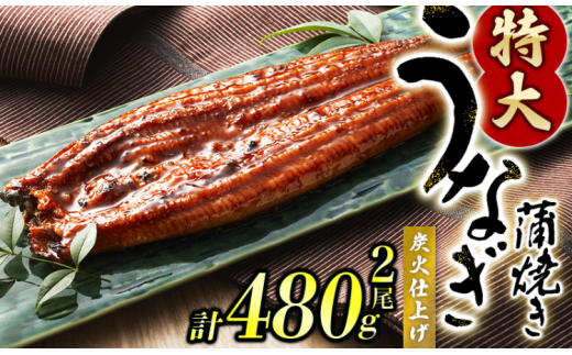 ＼発送時期が選べる！／ 1尾で約240gのビッグサイズ うなぎ蒲焼 2尾 計約480g （タレ・山椒付き） 中国産 鰻 うなぎ うなぎの蒲焼 炭火焼き 炭火 特大サイズ【nks700B-y-cho】