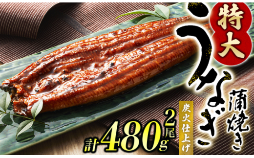 ＼発送時期が選べる！／通常発送の他、年末発送 先行予約受付中  1尾で約240gのビッグサイズ うなぎ蒲焼 2尾 計約480g （タレ・山椒付き） 中国産 鰻 うなぎ うなぎの蒲焼 炭火焼き 炭火 特大サイズ