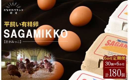 【6ヶ月定期便】定期便 お楽しみ 毎月届く《かながわブランド認定》平飼い有精卵さがみっこ 30個（10個×3パック）×6ヶ月｜神奈川県相模原市産 たまご 卵 鶏卵 玉子 たまご 生卵 平飼い ケージフリー 有精卵 国産 濃厚 旨味 卵焼き たまごかけご飯 朝食 ご褒美 ※離島への配送不可
