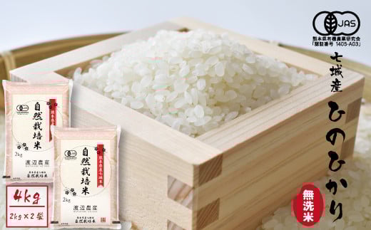 【激安通販 オンラインショップ】日用品 熊本県菊池市の菊池市『美味しい菊池米特集』｜ふるさとチョイス 米・雑穀・粉類