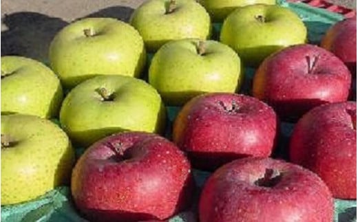 りんご２品種セット『シナノゴールド・シナノスイート』５㎏【８月受付開始】