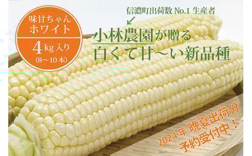 小林農園の白くて甘いとうもろこし『味甘ちゃんホワイト（みかんちゃんほわいと）』4kg入り（8～10本セット）令和7年9月～出荷予定【2025年夏のご予約受付開始！】【長野県信濃町ふるさと納税】