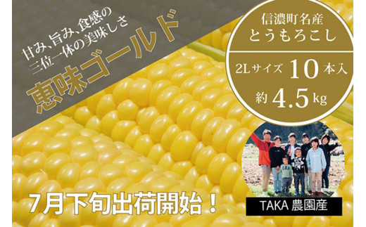 TAKA農園『恵味（めぐみ）ゴールド』２Lサイズ（1本450ｇ相当）×10本セット【2025年夏出荷分・先行予約開始！】信濃町名産とうもろこし／スイートコーンの人気品種、予約受付中！令和7年7月下旬～8月下旬に随時出荷予定【長野県信濃町ふるさと納税】