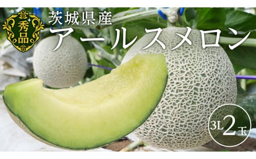 【 先行予約 】茨城県産 アールスメロン 秀品 3L サイズ × 2玉 入り おすすめ JA全農いばらき JA メロン めろん ふるさと納税 フルーツ 予約 マスクメロン くだもの 果物 国産旬 定番 旬 期間限定 青肉 果物 【 2025年8月下旬から発送 】