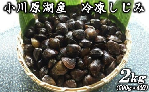砂抜き済みで手間いらず！冷凍・小川原湖産大和しじみ2kg（500g×4袋）　【02408-00】