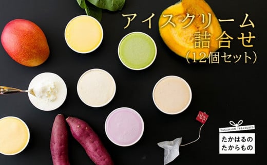 《宮崎県グルメコンテスト2連覇》高原アイスクリーム研究所 カップアイス12個詰め合わせセット 牧場で搾りたての新鮮な生乳使用! [スイーツ ジェラート 全国おやつランキング4位 マンゴー かぼちゃ 南瓜 ワンストップオンライン] TF0300-P00023