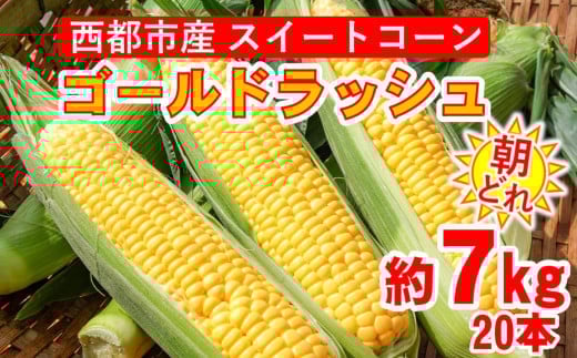 5月より発送開始！朝どれ スイートコーン ゴールドラッシュ 約7㎏ 20本  西都市産とうもろこし 【先行予約】＜1-9＞