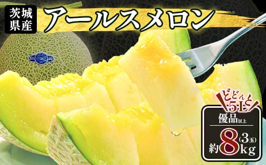 490 アールスメロン 3玉 5L 約8kg 優品以上 高級 茨城 JA水戸産 先行予約 2025年8月上旬頃から順次発送予定