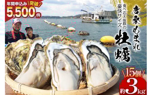 【期間限定発送】テレビで紹介！5,500件突破！唐桑もまれ牡蠣 15個 約3kg [戸羽平 宮城県 気仙沼市 20563890] 牡蠣 かき カキ もまれかき 殻付き牡蠣
