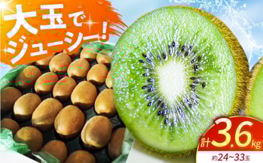 【先行予約】佐賀県産 キウイフルーツ ( ヘイワード ) 3.6kg【JAさが】[HBZ001] /キウイ フルーツ 果物 国産 大容量 佐賀 佐賀県産 国産キウイ
