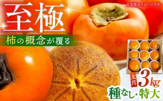 【10月下旬〜11月下旬発送】種なし柿 太月・渋抜き柿 3kg【小林農園】 [HAX001]