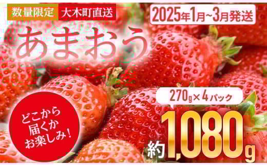 いちご あまおう 大木町 約270g×4パック 合計1080g 【2026年1月～4月に順次出荷予定】 イチゴ あかい まるい おおきい うまい CB223