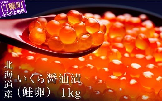 シラリカいくら(醤油味) 1kg(250g×4) いくら イクラ 小分け 国産 完熟卵のみ 20杯分 極上品 賞味期限1年以上 鮮度抜群 いくら醤油漬 鮭いくら 鮭イクラ イクラ醤油漬 鮭 鮭卵 いくら醤油漬け イクラ醤油漬け ikura いくら醤油漬 醤油いくら 醤油イクラ 冷凍いくら 冷凍イクラ 醤油鮭いくら 醤油鮭イクラ 人気 ふるさと納税 ふるさとチョイス 北海道 白糠町
