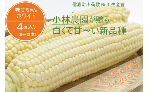 小林農園の白くて甘いとうもろこし『味甘ちゃんホワイト（みかんちゃんほわいと）』4kg入り（8～10本セット）令和7年9月～出荷予定【2025年夏のご予約受付開始！】【長野県信濃町ふるさと納税】