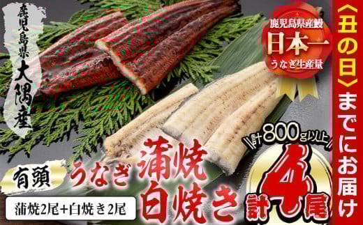 期間・数量限定・丑の日（2025年7月31日）までにお届け】九州産