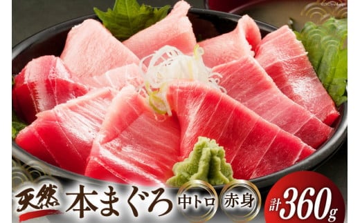 昭福丸の天然本まぐろ (中トロ･赤身) 各180g 計360g [臼福本店 宮城県 気仙沼市 20563782] 魚 鮮魚 刺身 トロ 天然本マグロ マグロ まぐろ 鮪 本まぐろ 本マグロ 本鮪 冷凍 レビューキャンペーン