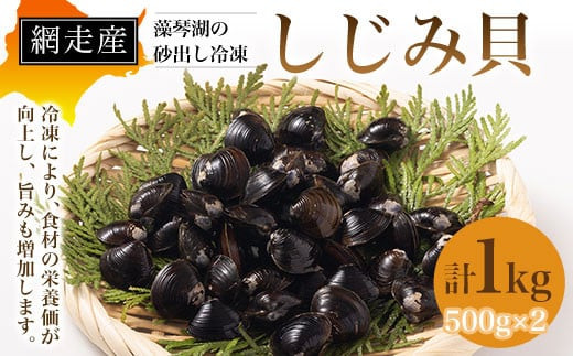 網走産 藻琴湖の砂出し冷凍しじみ貝（500g×2 計1kg） 【 ふるさと納税 人気 おすすめ ランキング しじみ シジミ 蜆 網走湖 大粒 冷凍 うまみ 北海道 網走市 送料無料 】 ABD002