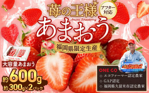 【予約受付】選べる大容量あまおう 600g 大粒 不揃い 選べる大容量あまおう （2L,グランデ,DX デラックス）減農薬 あまおう いちご 高級 いちごあまおう イチゴ 苺 フルーツ 果物 ふるさと納税くだもの amaou 福岡県 【2026年1月上旬～3月下旬発送予定】
