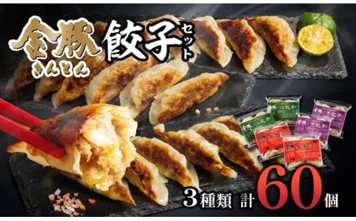 金豚 餃子セット_M166-005