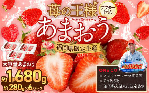 【予約受付】選べる大容量あまおう 1,680g 大粒 不揃い 選べる大容量あまおう （2L,グランデ,DX デラックス）減農薬 あまおう いちご 高級 いちごあまおう イチゴ 苺 フルーツ 果物 ふるさと納税くだもの amaou 福岡県 【2026年1月上旬～3月下旬発送予定】