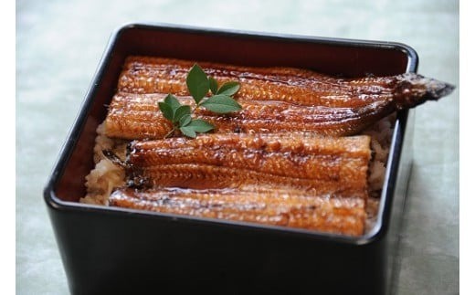 うなぎ蒲焼き 5本 国産 うなぎ 蒲焼 2本 100 - 150g x 5匹 タレ 山椒 付き 備長炭 炭火焼  国産うなぎ うなぎ蒲焼 うな重 ひつまぶし 鰻  丑の日 土用の丑の日 冷凍 小分け 高知県 安田町 YK-02