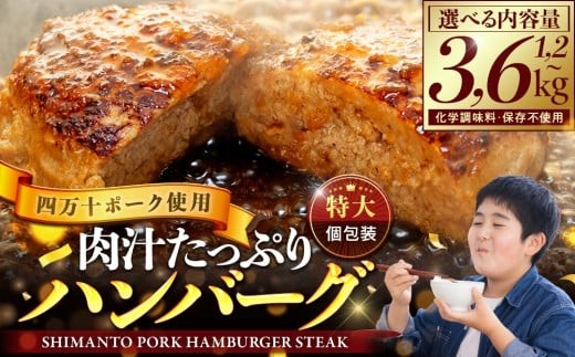 【最短1週間以内で発送】 ハンバーグ 四万十ポーク 入り1.2kg ( 200g × 6個 ) 2.4kg ( 200g × 12個 )  3.6kg ( 200g × 18個 ) 冷凍 真空 小分け 個包装 肉汁 たっぷり 大容量 大きめ 合挽き 牛肉 豚肉 保存料 不使用 ビーフ ポーク 合いびき肉 挽肉 ジューシー お弁当 おかず 惣菜 晩ごはん 贅沢  SNM012-all