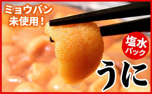 B-07019 エゾバフンウニ(黄色)塩水パック70g×1P[10月下旬以降発送]