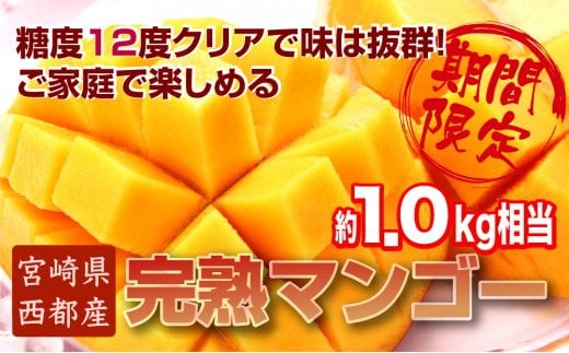 【JA選果】訳ありご家庭用 西都産完熟マンゴー 糖度12度以上 3～4玉入り 約1kg  【マンゴーランキング1位】アップルマンゴー【先行予約】2026年発送 宮崎マンゴー 果物 フルーツ 甘い ＜1.5-64＞