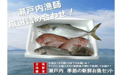 瀬戸内 季節の新鮮お魚セット D 1 香川県多度津町 ふるさと納税 ふるさとチョイス