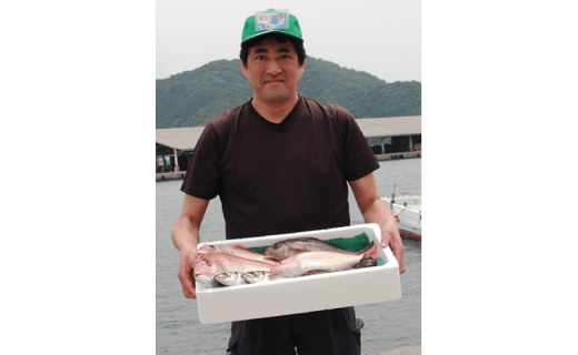 D26 1 無添加 天日干し ピチピチ朝獲れ鮮魚の一夜干し8枚セット 愛媛県八幡浜市 ふるさと納税 ふるさとチョイス