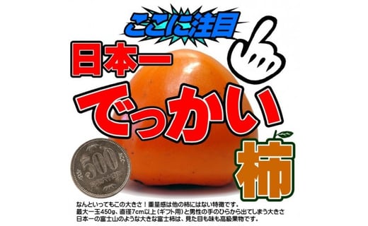 富士柿　ご家庭用10kg  愛媛県八幡浜産