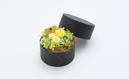 11 025 お花屋さんが選ぶ花植物 プリザーブドフラワーアレンジメント小 山形県新庄市 ふるさと納税 ふるさとチョイス 11 025 お花屋さんが選ぶ花植物 プリザーブドフラワーアレンジメント小 山形県新庄市 ふるさと納税 ふるさとチョイス