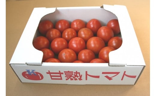 令和４年３月 ５月発送 とっても甘 い 川助農園のフルーツトマト1 5kg以上 最大糖度15 3度 数量限定 愛知県津島市 ふるさと納税 ふるさとチョイス