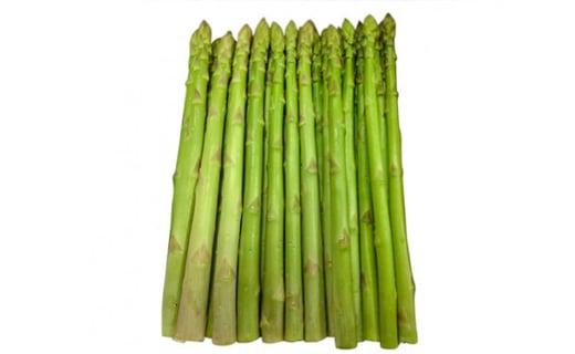 No 166 厚木産 グリーンアスパラガス 約1 0kg 野菜 アスパラ 特産 神奈川県 神奈川県厚木市 ふるさと納税 ふるさとチョイス No 166 厚木産 グリーンアスパラガス 約1 0kg 野菜 アスパラ 特産 神奈川県 神奈川県厚木市 ふるさと納税 ふるさとチョイス