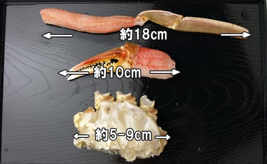 アイテムID:449545の画像7枚目