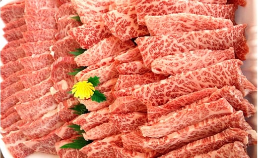 4631 1247 香川県産オリーブ牛焼肉セット 1kg 香川県東かがわ市 ふるさと納税 ふるさとチョイス