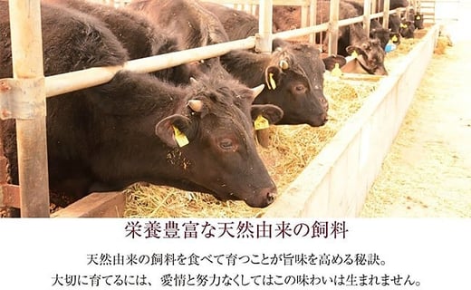 新潟県産牛（長岡産）肩ローススライス300g（すきやき・しゃぶしゃぶ用）