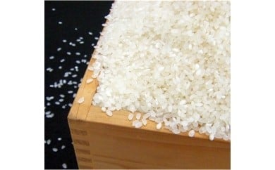 熊谷のおいしいお米「キヌヒカリ」精米8キロ