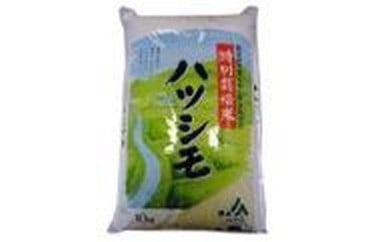 [B29]特別栽培米 ハツシモ 10kg